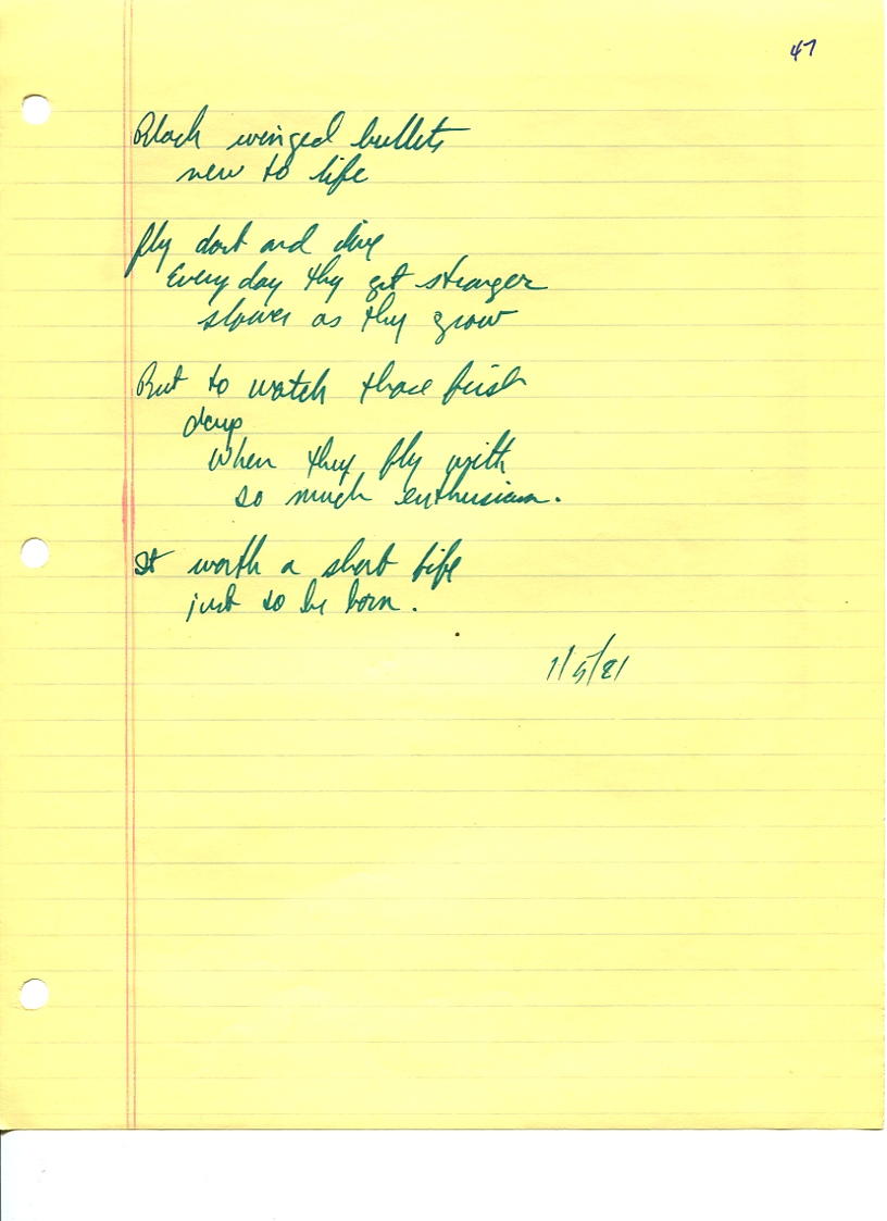 John WorldPeace Poems 1981 | World Peace Poems