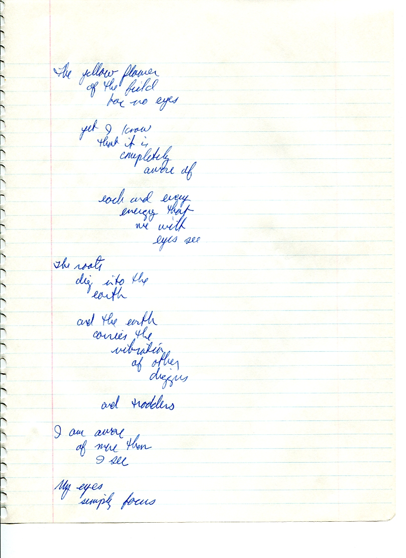 John WorldPeace Poems 1990 | World Peace Poems