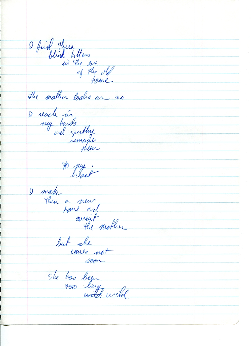 John WorldPeace Poems 1990 | World Peace Poems