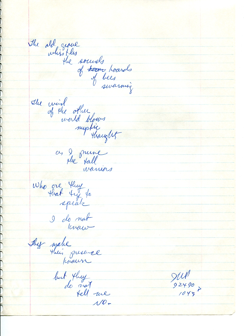 John WorldPeace Poems 1990 | World Peace Poems