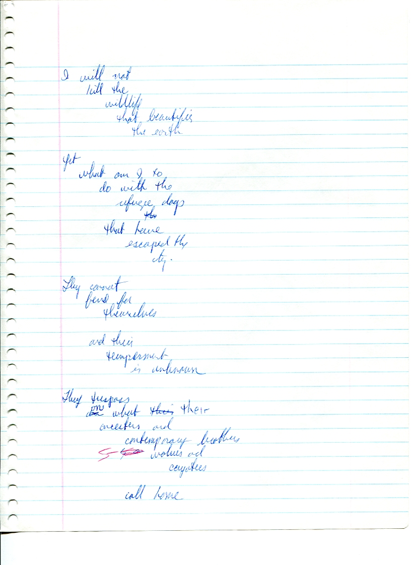 John WorldPeace Poems 1990 | World Peace Poems